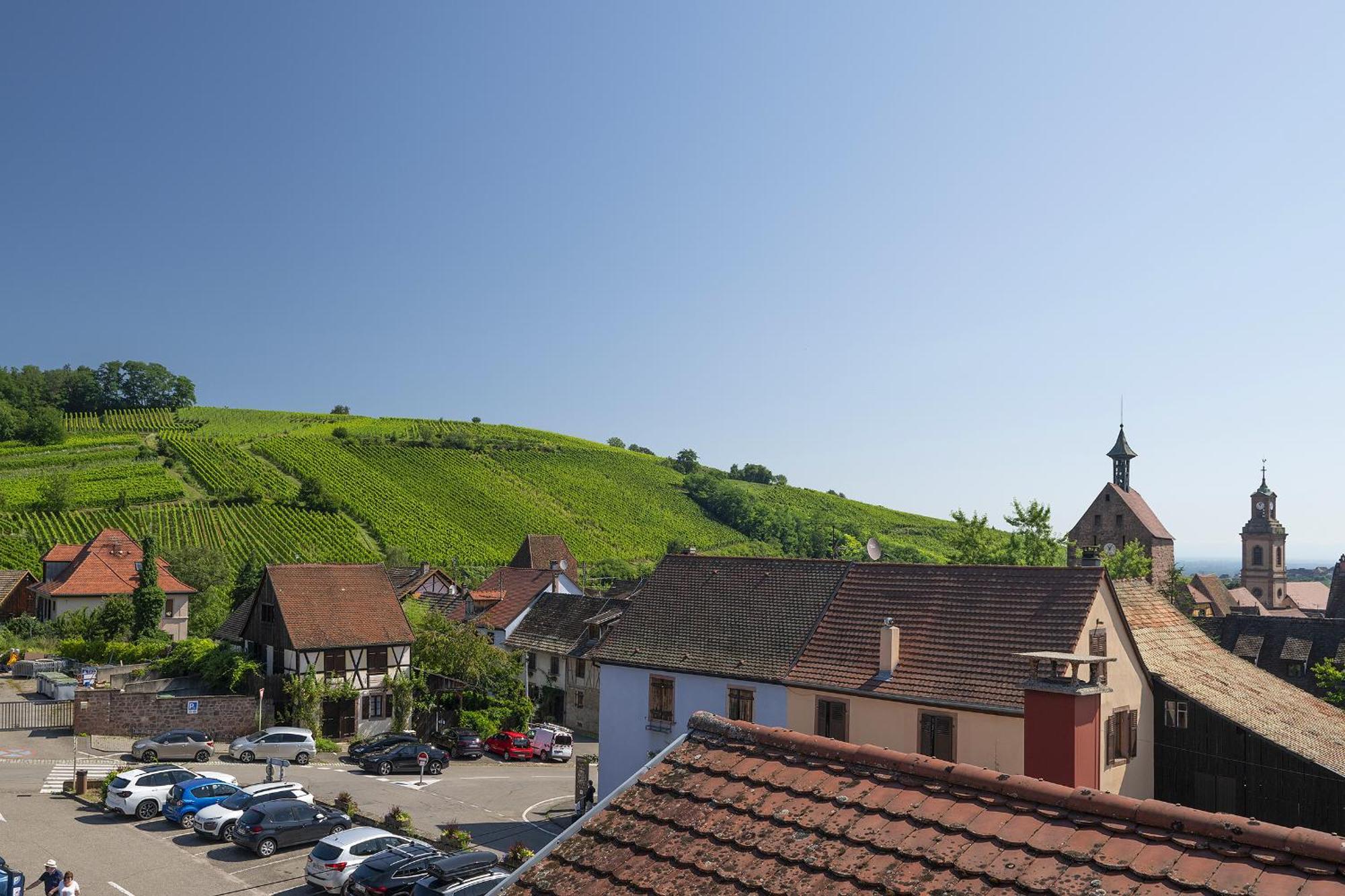 리크위르 Riesling - Vue Imprenable Sur Le Vignoble - Renove Recemment - Parking Gratuit 아파트 외부 사진
